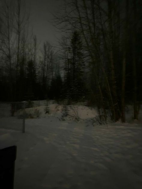 Foggy Snow Forest, Snowy Foggy Forest, Snowy Dark Forest, Snowy Night Aesthetic Wallpaper, Snowy Woods Night, Creepy Snowy Forest, Snow Woods Aesthetic, Forest Winter Aesthetic, Foggy Winter Aesthetic