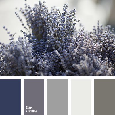 colour combination for repair, colour palette for a winter wedding, dark blue-gray, dark gray, gray and violet, gray beige, gray-lilac, light gray, light violet colour, monochrome shades of gray, pale Persian blue, pale silver colour, Grey Bedrooms, Color Concept, Wall Living Room, Bedrooms Ideas, Persian Blue, Paint Colours, Living Room Bathroom, Colour Board, Remodel Bedroom