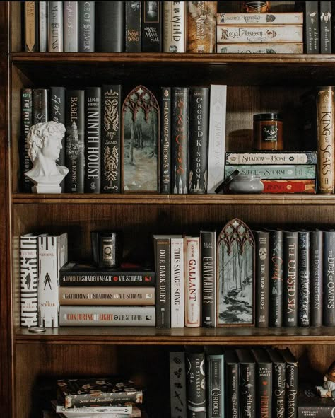 Shelf Decor With Books, Thrifted Bookshelf, Room With Bookcase, Dark Bookshelf Styling, Appalachian Forest, Book Shelves Ideas, Dark Bookshelf, Bookcase Aesthetic, Bookshelves Inspiration