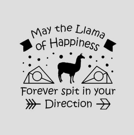 Funny Llama Pictures, Llama Quote, Llama Pictures, Family Wall Decals, Funny Llama, Animal Puns, Llama Drama, Quotes About Motherhood, Drama Funny