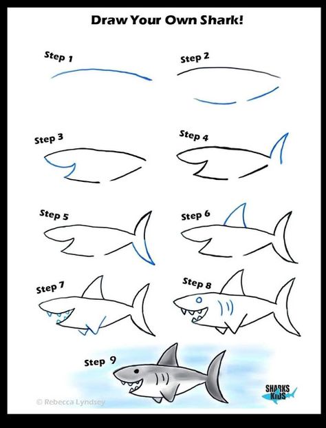 Shark Drawing Easy, Draw A Shark, Shark Pictures, Shark Drawing, Sharks For Kids, Shark Art, Don Bosco, Drawing Heads, Easy Drawings For Kids