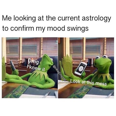 Memes Kermit, Witch Jokes, Funny Spiritual Memes, Astrology Humor, Horoscope Funny, Virgo Memes, Zodiac Funny, Zodiac Sign Traits, My Mood