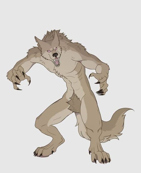 Werewolf Drawing, Werewolf Girl, Female Werewolves, Werewolf Aesthetic, Werewolf Art, Canine Art, Fantasy Beasts, Fantasy Creatures Art, Mythical Creatures Art