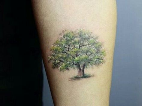 Tattoo Of Tree, Grandma Tattoo, Grandma Tattoos, Cuff Tattoo, Majestic Tree, Tree Tattoos, Scott Campbell, Single Tree, Wonders Of Nature