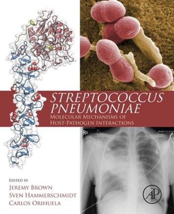 Streptococcus Pneumoniae, Powerpoint Designs, Microbiology, Powerpoint Design, Free Apps, Food Animals