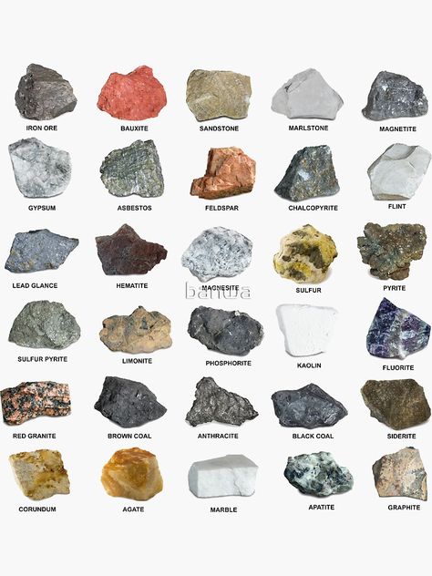 Raw Rocks And Minerals Identification, Virginia Rocks And Minerals, Rock Identification Chart, Identifying Rocks, Rock Identification Pictures, Crystal Hunting, Rock Collection Display, Different Types Of Rocks, Raw Gemstones Rocks