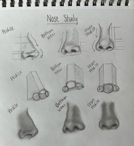 Nose Shading Reference, Semi Realistic Nose Drawing Tutorial, Drawing Realistic Nose, How To Draw Realistic Nose, Side Nose Drawing, Realistic Nose Drawing Tutorial, Pencil Art Drawings Nose, Nose Practice Sketches, Anatomy Sketchbook