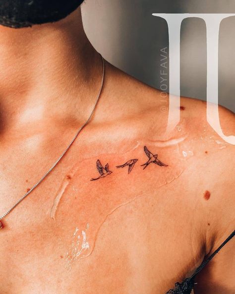 Birds Shoulder Tattoos For Women, Birds Collarbone Tattoo, 3 Animal Tattoo, Bird Collarbone Tattoo, Small Collarbone Tattoos For Women, Bird Tattoo Collarbone, Bird Shoulder Tattoos, Small Bird Tattoos, Bird Tattoos For Women