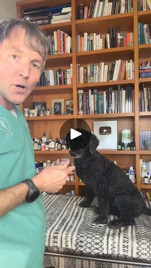 Dental Hacks, Dog Deodorizer, Dog Coughing, Dog Hot Spots, Dog Skin Care, Meds For Dogs, 200k Views, Dogs Ears Infection, Andrew Jones