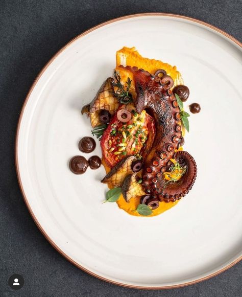 Octopus Dish Plating, Octopus Plating, Fancy Seafood Dishes, Octopus Dishes, Octopus Food, Octopus Dish, Food Arrangement, Fancy Plates, Gastronomic Food