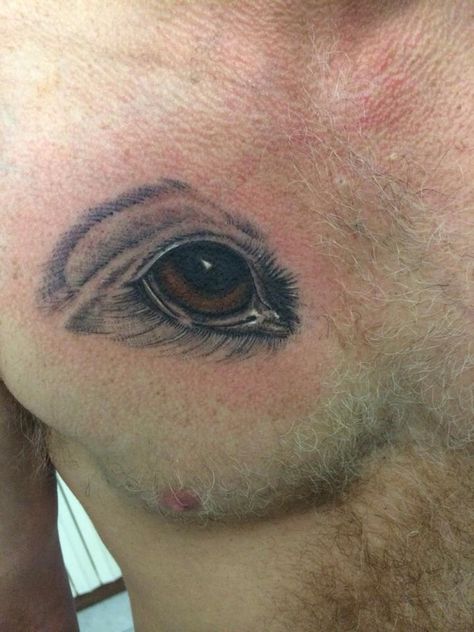 Dog's Eye Dog Eye Tattoo, Dog Eyes Tattoo, Eyes Tattoo, Dog Eyes, Brown Dog, Eye Tattoo, Tattoos, Dogs