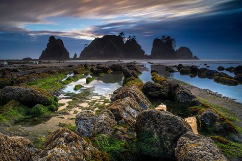 Shi Shi Beach, Olympic National Forest, Family Metal, Camping Park, Pacific Nw, Olympic Peninsula, Tide Pools, Olympic National Park, Beach Camping