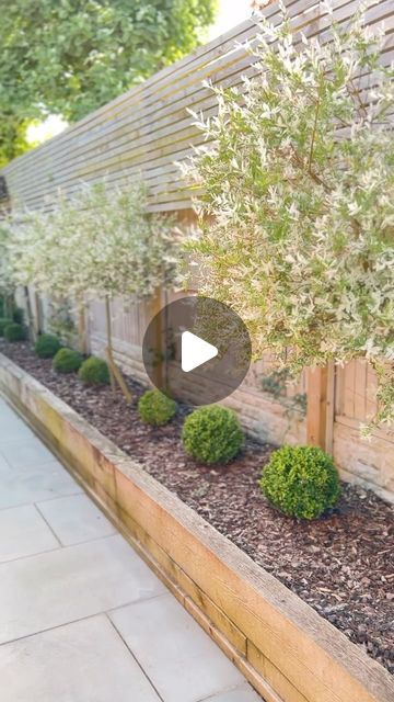 Sophie Higgs on Instagram: "GARDEN TRANSFORMATION🌿🤍 It cost us under £300 to transform this unloved bit of our garden into this beautiful border  We added sleepers first, then put down weed membrane, next we planted buxus balls and salix flamingo trees. They look like little twigs when you first plant them but within a couple of years they bush out into beautiful trees that have striking pink and white foliage in spring time   We’re off on holiday soon so hoping that I manage to start a bit of the packing today, I always take far too much so trying to pack less!   Have a lovely Sunday Sophie 😘  #gardentransformation #gardenbeforeandafter #gardenmakeover #gardeninspiration #salixflamingo #buxusballs #gardenborder" Buxus Balls, Sleepers In Garden, Garden Troughs, Garden Transformation, Tree Borders, Lovely Sunday, Manor Farm, Girls Aloud, San Diego Houses