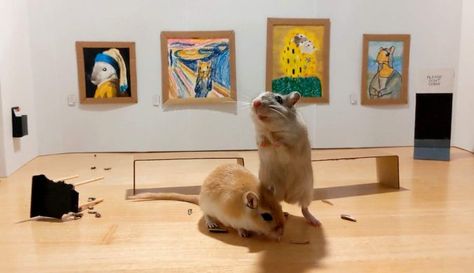 Friday Funnies: Look Inside This Mini Art Gallery That a Bored Couple in Quarantine Made for Their Pet Gerbils Gerbil, Hamsters, Gustav Klimt, Bored Couples, Eiko Ojala, Colossal Art, Edvard Munch, Famous Artwork, Johannes Vermeer