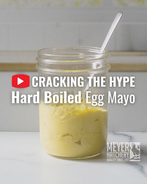 A jar of creamy Hard Boiled Egg Mayo, showcasing our latest video from the Cracking the Hype series by Meyer Hatchery. Mayonnaise Recipe With Boiled Eggs, Boiled Eggs Mayonnaise, Seasoned Mayo Recipe, Homemade Mayo Using Hard Boiled Eggs, Mayo With Boiled Egg, Hard Boiled Egg Mayonnaise Recipe, Homemade Mayo With Hard Boiled Eggs, Things To Make With Boiled Eggs, Hard Boiled Egg Mayonnaise