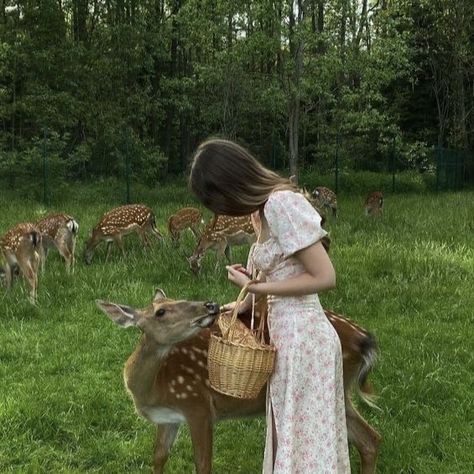 Brazil, Deer, Elain Archeron, A Deer, The Grass, White