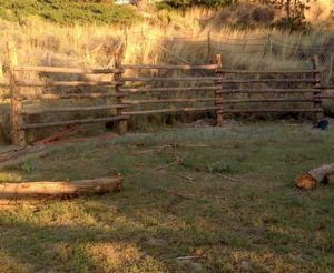 Round Pen Ideas, Diy Round Pen, Round Pens For Horses, Kacy Catanzaro, Horse Pens, Colorado Ranch, Pen Ideas, Cedar Posts, Round Pen