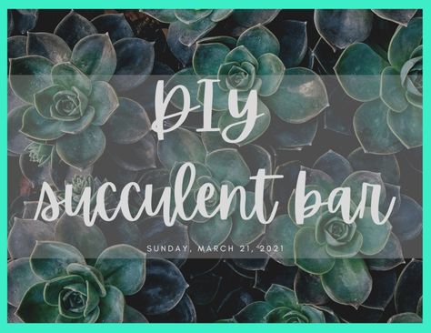 DIY Succulent Bar | Mangelsen's Succulent Bar Diy, Wellness Crafts, Succulent Bar, Word Cutouts, Bar Diy, Pot Filler, Fairy Garden Decor, Diy Bar, Succulents Diy