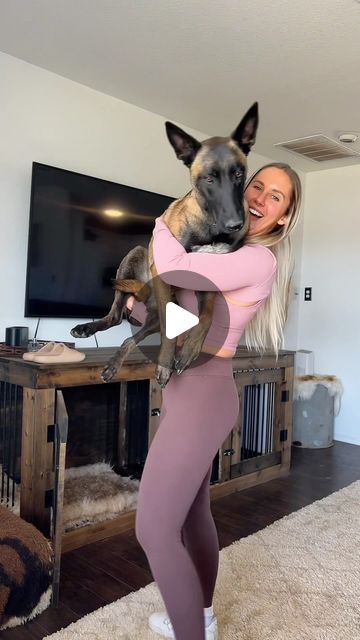 Female Malinois, Malinois Training, Cute Big Dogs, Malinois Funny, Belgian Malinois Puppies, Belgium Malinois, Malinois Puppies, Belgian Malinois Dog, Husky Funny