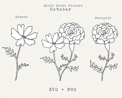 October Month Flower Tattoo, Marigold Flower Stencil, October Birth Flower Bouquet, Birth Month Flower October, October Flower Tattoo Small, Marigold And Cosmos Flower Drawing, Flower Tattoos October, October's Birth Flower, Tattoo October Birth Flower