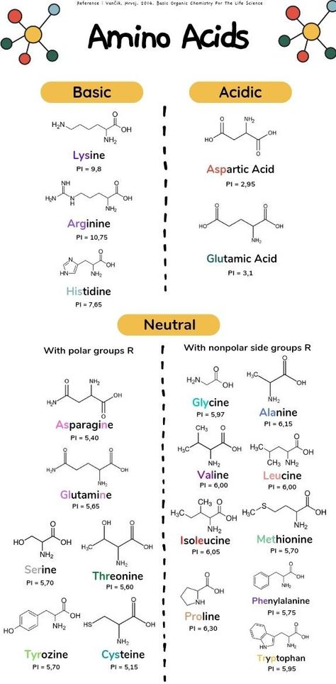 Biochemistry Amino Acids, Mcat Amino Acids, Bio Chemistry Notes, Amino Acids Biochemistry Notes, Amino Acids Notes, Mcat Study Aesthetic, Mcat Notes, Mcat Study Tips, Cell Biology Notes