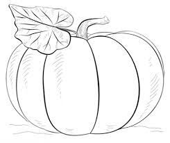 Image result for free pumpkin coloring contest Easy Halloween Drawings, Trin For Trin Tegning, Pumpkin Coloring, Fall Drawings, Pumpkin Drawing, Pumpkin Coloring Pages, Drawing Tutorials For Kids, White Drawing, Pola Sulam