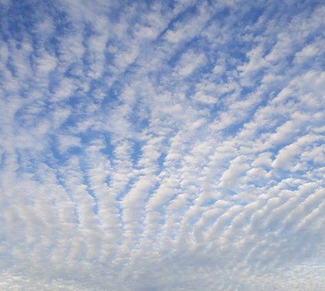 #clouds #pretty #blue Cumulus Clouds, Clouds Photography, Sky And Clouds, Photography, Quick Saves, Art