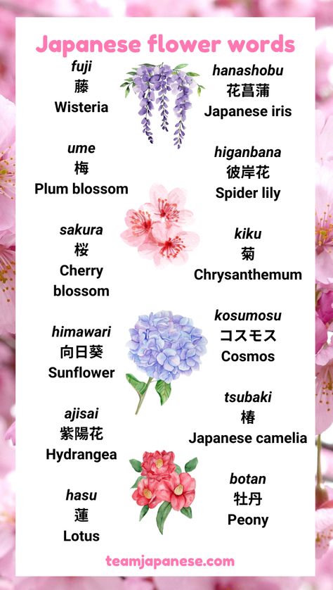 Many beautiful flowers have a special significance in Japanese culture! Learn popular Japanese flower words with this post. Visit Team Japanese to learn more about the culture and meaning behind these Japanese flower names :) Encouraging Japanese Words, Japanese Flowers Meanings, I Love You Too In Japanese, Beautiful Japanese Words And Meanings, Japanese Flower Name, Beautiful Japanese Names And Meanings, Japanese Flowers Aesthetic, Japanese Last Names And Meanings, Beautiful Words In Japanese