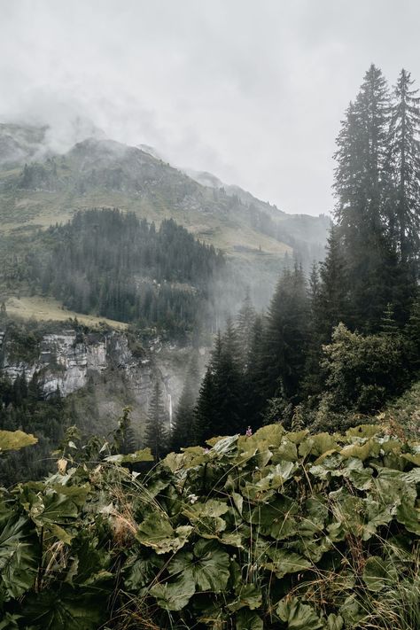 Mountains on a rainy day in Austria . Download this photo by Marcus Ganahl on Unsplash Rainy Mountains, Mountains Aesthetic, Heavenly Places, Rainy Wedding, Mural Ideas, On A Rainy Day, A Rainy Day, Winter Photography, Mountain Range