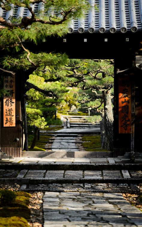 Japanese Style House, Japanese Temple, Asian Architecture, Asian Garden, Japan Culture, Japanese Architecture, Kyoto Japan, Japanese House, Zen Garden