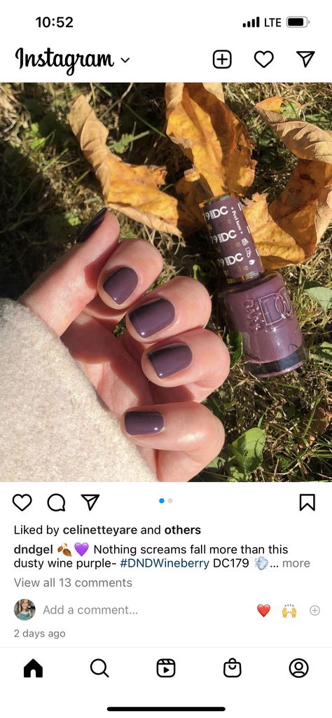 Dnd Fall Nails, Dnd Gel Nail Polish, Gel Nail Polish Colors, Dnd Gel Polish, Nail Envy, Nails Only, Hair Skin Nails, Get Nails, Fall Nail Colors