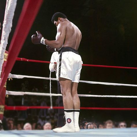 Mohammed Ali Aesthetic, Mohamed Ali Wallpaper 4k, Creed 3 Wallpaper Boxing, Muhammad Ali Pfp, Ali Islam, Boxing Legends, محمد علي, Muhammad Ali Boxing, Mohamed Ali