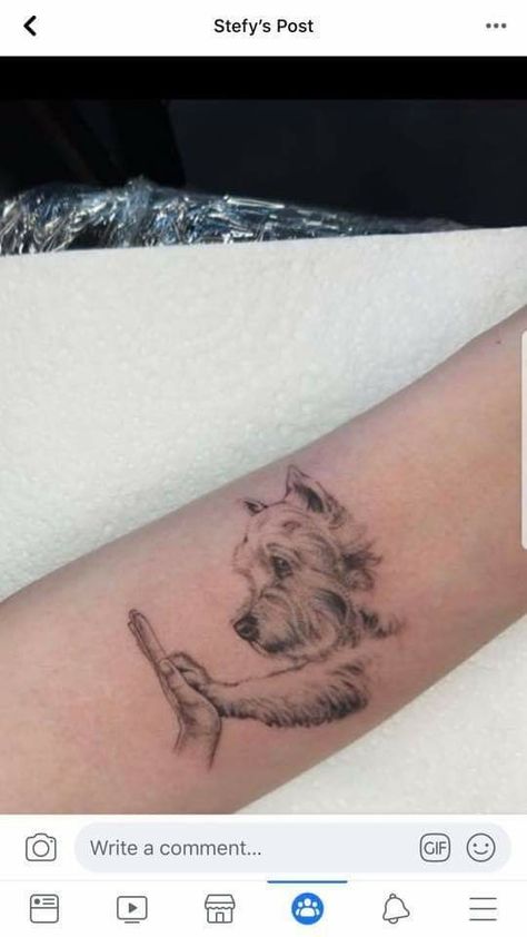 Yorkiepoo Tattoo, Small Westie Tattoo, Small Yorkie Tattoo, Yorkie Terrier Tattoo, Westie Dog Tattoo, Tiny Yorkie Tattoo, Westie Tattoo Ideas, Dog Tattoo Yorkie, Dog Memorial Tattoos Yorkie