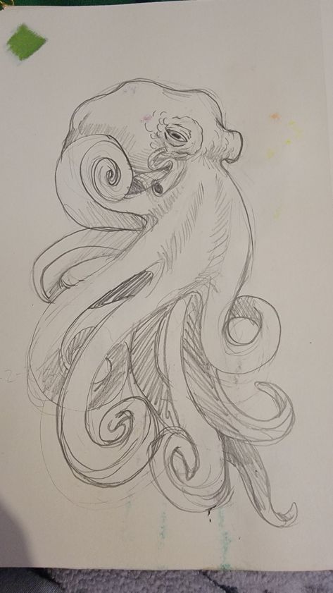 Art Sketches Pencil Animals, Octopus Drawing Pencil, Aesthetic Octopus Drawing, Octopus Drawings Simple, Sketches Of Octopus, Octopus Sketch Drawings, Drawing Ideas Octopus, Octopus Pencil Drawing, Sketches Of Sea Animals