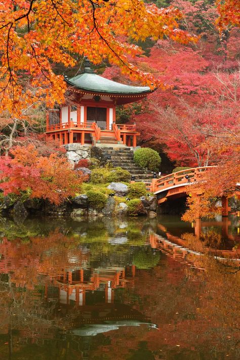 Daigoji Temple, Japan Chinese Places, Japan Landscape, Japanese Temple, Asian Architecture, Asian Garden, Japan Photography, Japanese Landscape, Japan Aesthetic, Autumn Scenery