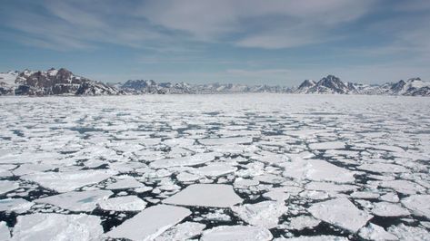 Test your knowledge with amazing and interesting facts, trivia, quizzes, and brain teaser games on MentalFloss.com. Ice Sheet, Arctic Sea, Trivia Quizzes, Sea Ice, Sea Level Rise, Ice Melting, Brain Teaser, Oceans Of The World, Worst Case Scenario