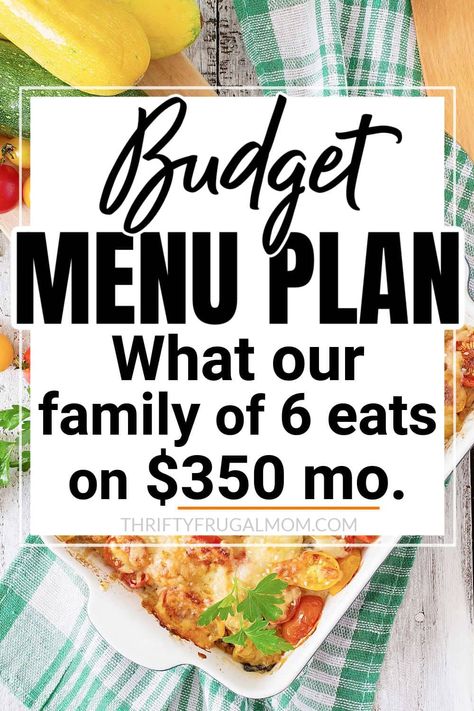 Mom Meals, Cheap Meal Plans, Budget Food, Aldi Meal Plan, Meal Planning Menus, Frugal Mom, Monthly Meal Planning, Budget Meal Planning, Family Of 6