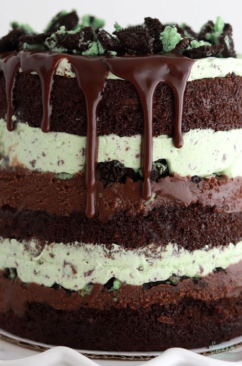 Chocolate Chip Ice Cream Cake, Mint Ice Cream Cake, Mint Chocolate Chip Ice Cream Cake, Brownie Ice Cream Cake, Chocolate Ice Cream Cake, Mint Chocolate Ice Cream, Homemade Ice Cream Cake, Mint Cake, Mint Chip Ice Cream