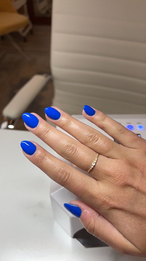 French Tip Nails Blue Almond, Vacation Nails One Color, Short Bright Blue Nails, Short Almond Royal Blue Nails, Duke Blue Nails, Bright Blue Nail Ideas, Colbolt Blue Nails Almond, Electric Blue Nails Short, Royal Blue Oval Nails