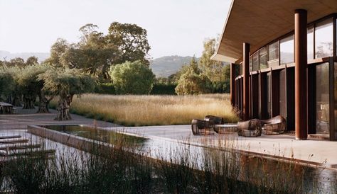 Stone Edge Farm on The National Design Awards Gallery, 2014 Andrea Cochran, Stone Edge, Contemporary Landscape Design, Architectural Garden, Residential Landscape, Minimalist Garden, Natural Swimming Pool, Modern Landscape, Formal Gardens