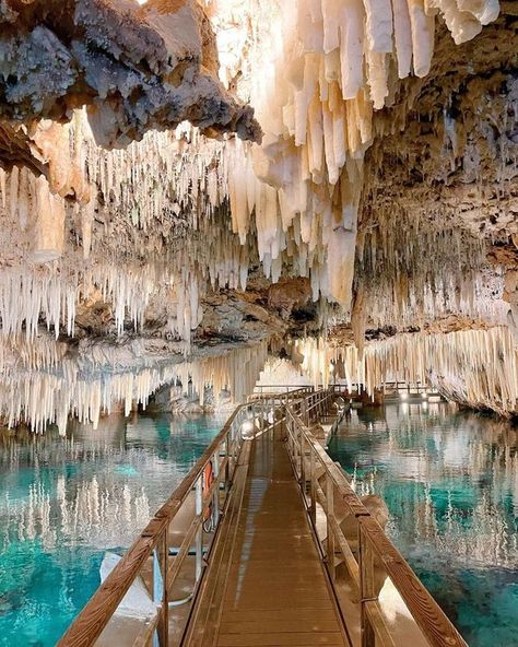 United States Natures | Crystal Cave & Fantasy Cave in Bermuda are awe-inspiring underground wonders that showcase the island's hidden beauty | Facebook Crystal Caves Bermuda, Fantasy Cave, Ice Cave Photography, Crystal Caves, Underground World, Crystal Cave, Fantasy Inspiration, Travel Photographer, Canada Travel