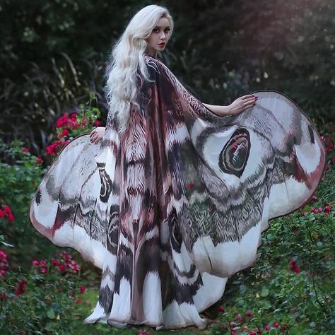 Moth Wings Costume, Moth Costume, Butterfly Fairy Wings, Moth Wings, Moth Art, Wings Costume, Butterfly Fairy, Festival Clothing, Fairy Wings