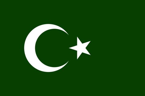 Bosnian Muslims Muslim Flag, Flag On Wall, Ottoman Flag, Pakistan Flag, Countries And Flags, Historical Timeline, Lightroom Presets For Portraits, Theory Of Relativity, Flag Svg