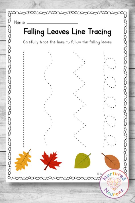 Leaves Week Preschool, Fall Worksheets For Toddlers, Leaves Preschool Crafts, Leaves For Preschool, Fall Themed Preschool Activities, Leave Crafts For Preschoolers, Leaves Worksheets For Preschool, Fall Worksheets Preschool, Prek Leaves Activities