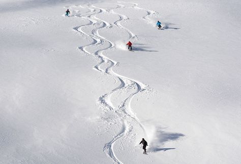 Ski Slope Nose, Slope Nose, Ski Resort Aesthetic, Nose Aesthetic, Ski Trip Aesthetic, Ski Canada, Utah Ski, Ski Destinations, Skiing Aesthetic