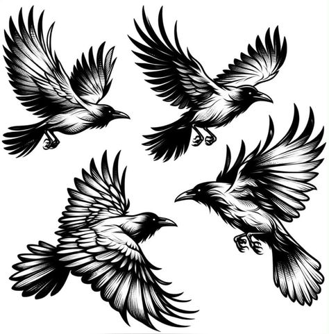 American Traditional Tattoos Crow, Flying Raven Tattoo Design, Traditional Crow Tattoo Design, Raven Tattoo Linework, Crow Flying Tattoo, Raven Tattoo Design Sketch, Raven Bird Tattoo, Raven Tattoo Drawing, Flying Crow Drawing