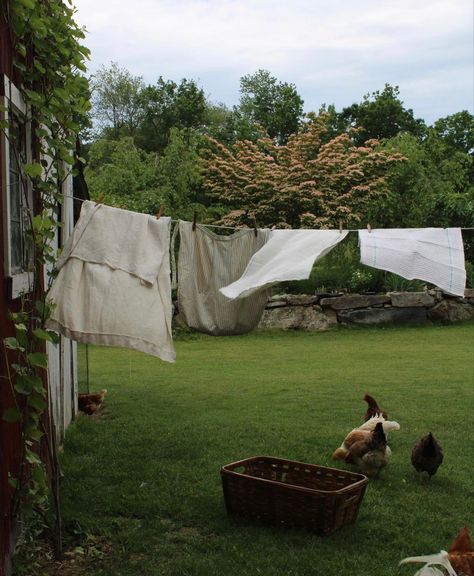 Happy Juneteenth, In My Element, Future Farms, Country Lifestyle, Countryside House, Slow Life, English Countryside, Future Life, Dream Garden