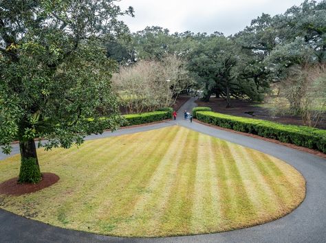 A driveway shaped like a teardrop, green grass and a tall tree in the center, low profile bushes liing the sides and huge green trees all around Teardrop Driveway, Circular Driveway Ideas, U Shape Driveway Landscaping, Driveway Materials, Circle Driveway, Brick Driveway, L Shaped House, Driveway Ideas, Circle Drive