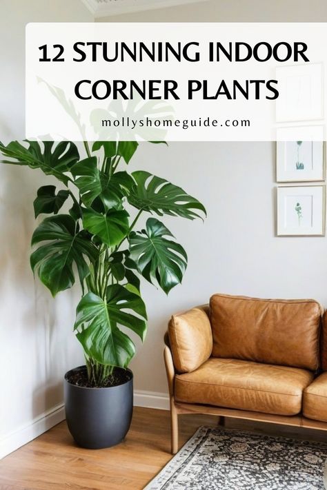 Enhance your living room corners with the best indoor plants! Opt for low light options or tall racks for a stylish touch. These indoor plants will liven up any space and add a touch of nature to your decor. From floor arrangements to corner window displays, find the perfect apartment plant ideas here. Elevate your interior styling with our curated list of indoor plants that are ideal for decorating living room corners. Tall Plant For Living Room, How To Decorate Plants In Living Room, Indoor Plant Placement Ideas, Snake Plant Decor Ideas Living Rooms, Apartment Plant Ideas, Snake Plant Indoor Decor, Inside Plants Decor Living Room, Plant Styling Living Room, Empty Corner In Living Room