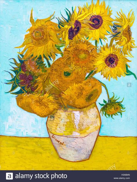 Los girasoles de Vincent van Gogh (1853-1890), óleo sobre lienzo, 1888 Foto & Imagen De Stock: 122544821 - Alamy Vase With Twelve Sunflowers, Sunflower Art Print, Edouard Vuillard, Wayne Thiebaud, Vincent Van Gogh Art, Pierre Bonnard, Van Gogh Sunflowers, Sunflower Canvas, Joan Mitchell